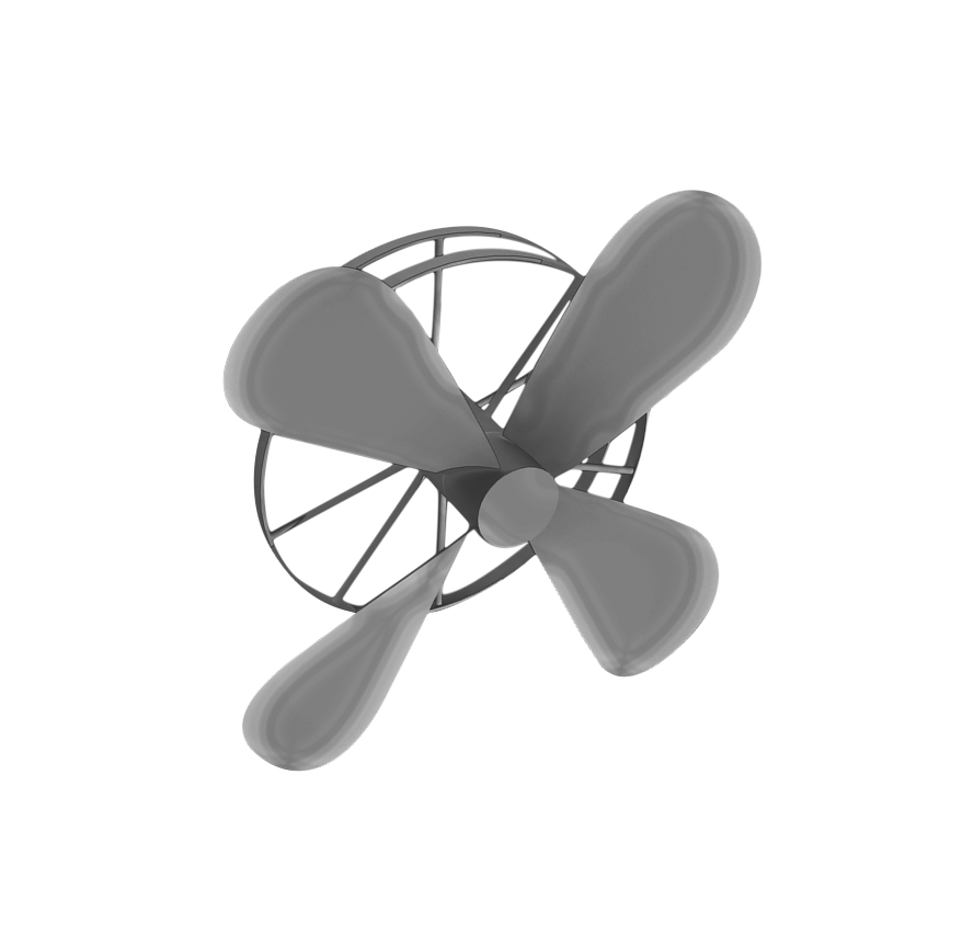 Fan